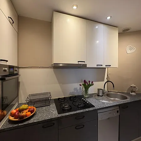 Brick Loft Szczesliwa - 아파트 브로츠와프