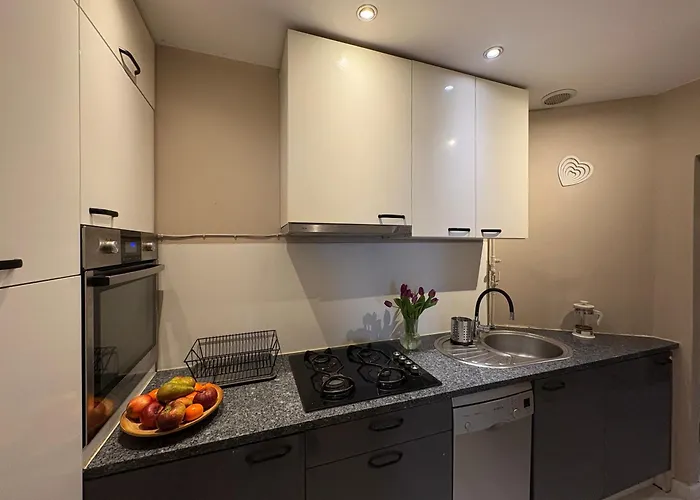 Brick Loft Szczesliwa - Appartement Wrocław